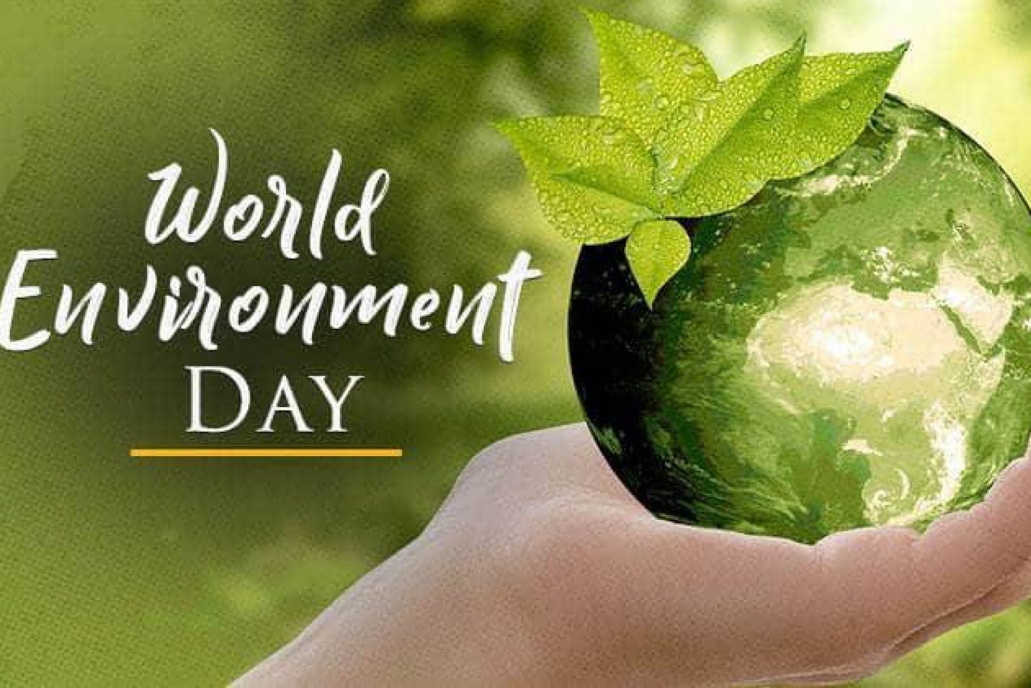 superseva-celebrates-world-environment-day-superseva